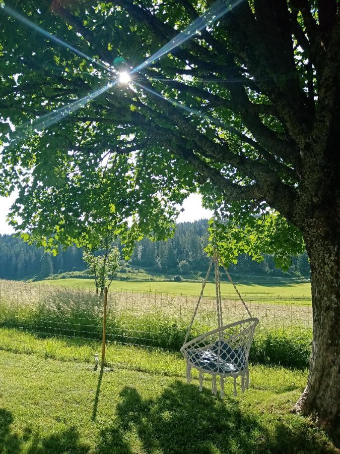 Les P'Tites Pistes Bed and Breakfast Chaux-des-Pres Εξωτερικό φωτογραφία